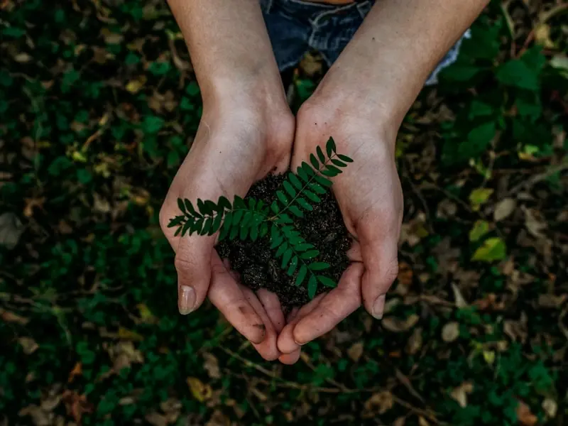 Environmental Conservation volunteer program in the Philippines